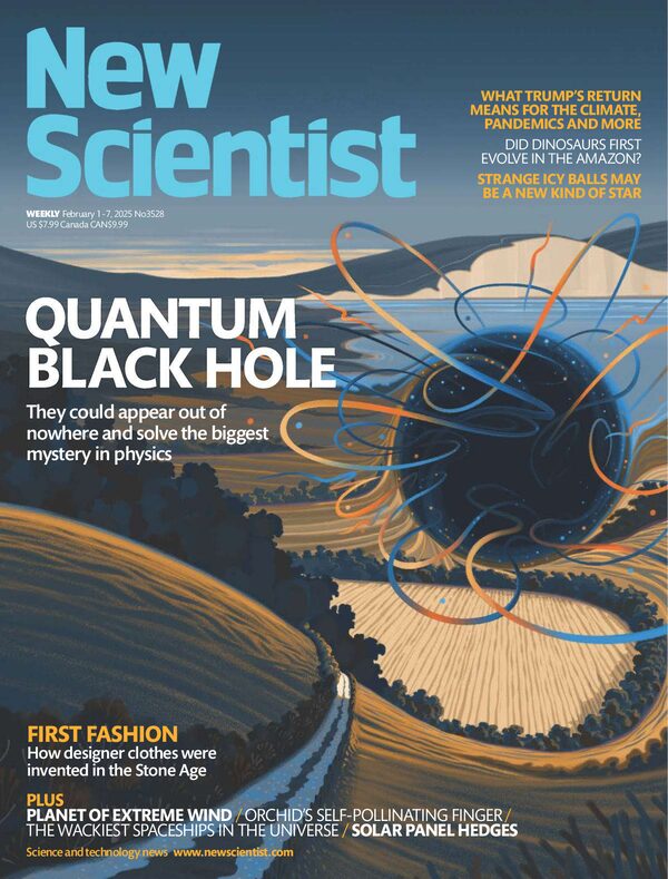 New Scientist - February 1, 2025 USA