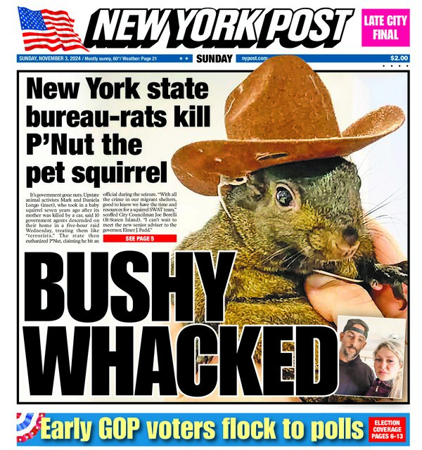 New_York_Post_-_November_3_2024
