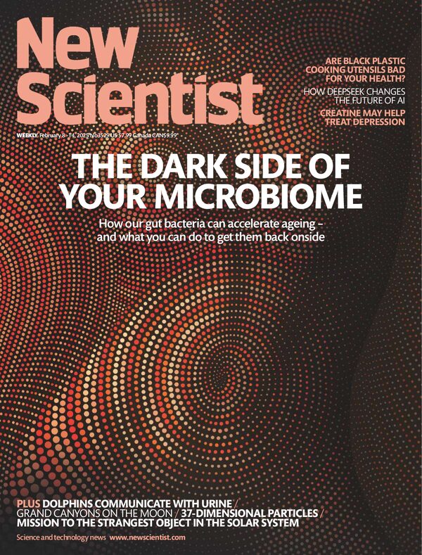 New Scientist - February 8 2025 USA